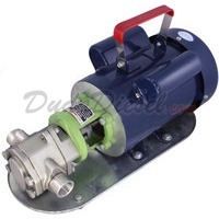 Power WCB30 stainless steel Mini-Gear Pump